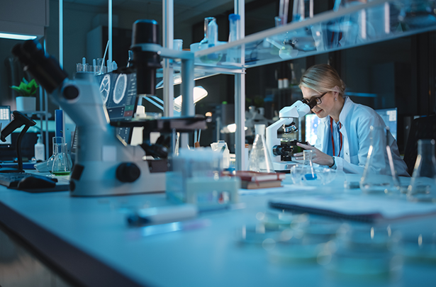 Monthly report September 2025